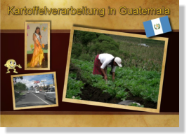Kartoffelverarbeitung Guatemala