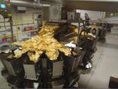 potato crisp/chips line, 2,100 lbs/h