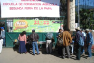 Guatemala-Kartoffelfest-San Marcos-2008