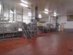 potato chips line, 1.000 kg/h