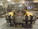 potato chips line, 1.000 kg/h