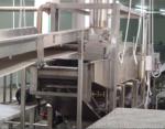 Anlage zur Herstellung von Pommes Frites, 500 kg/h
