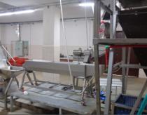 French fries line, 500 kg/h