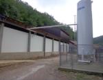French fries line, 500 kg/h