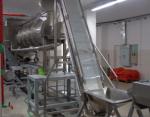 French fries line, 500 kg/h